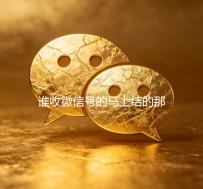 谁收微信号的马上结的那种（收微信号的人是真的吗）